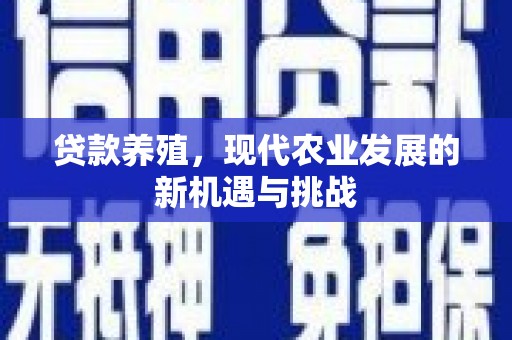 惠安贷款养殖，现代农业发展的新机遇与挑战