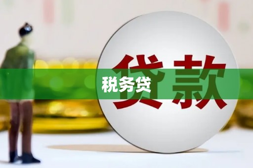 惠安税务贷
