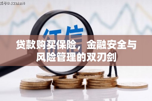 惠安贷款购买保险，金融安全与风险管理的双刃剑