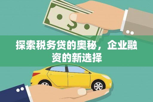 惠安探索税务贷的奥秘，企业融资的新选择