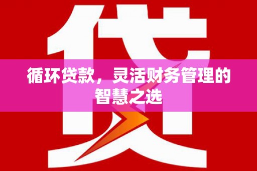惠安循环贷款，灵活财务管理的智慧之选