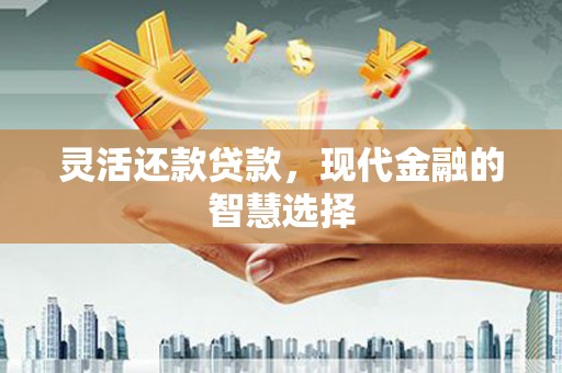 惠安灵活还款贷款，现代金融的智慧选择
