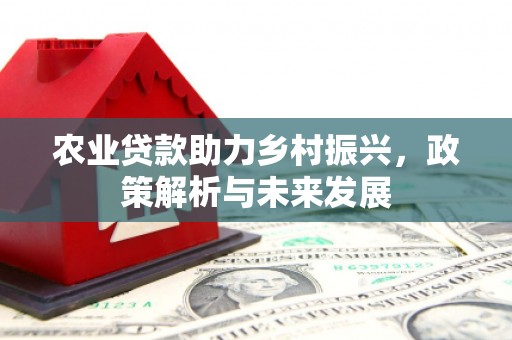 惠安农业贷款助力乡村振兴，政策解析与未来发展