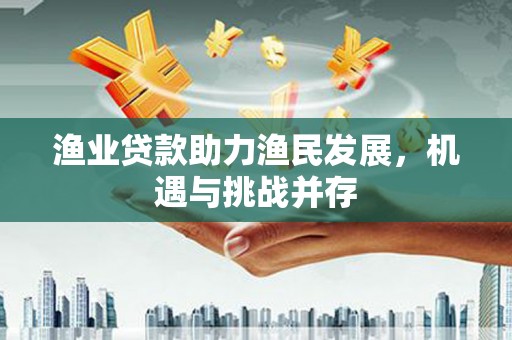 惠安渔业贷款助力渔民发展，机遇与挑战并存
