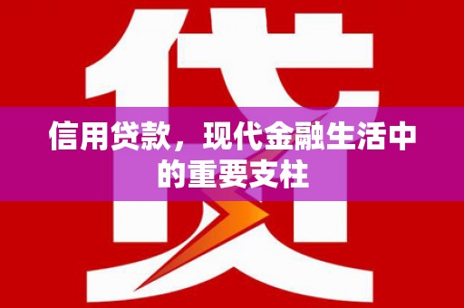 惠安信用贷款，现代金融生活中的重要支柱