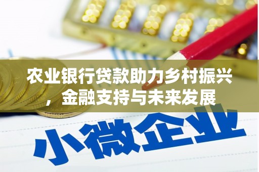 惠安农业银行贷款助力乡村振兴，金融支持与未来发展