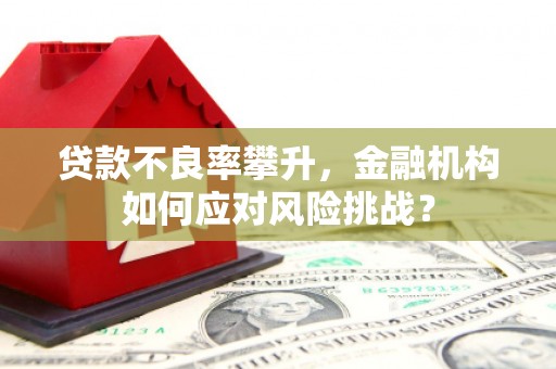 惠安贷款不良率攀升，金融机构如何应对风险挑战？