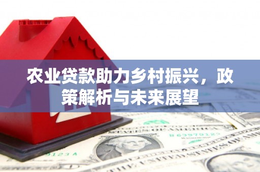 惠安农业贷款助力乡村振兴，政策解析与未来展望