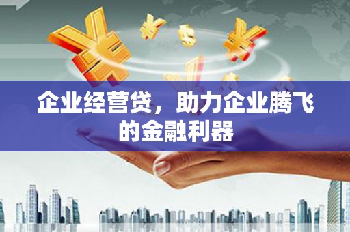 惠安企业经营贷，助力企业腾飞的金融利器