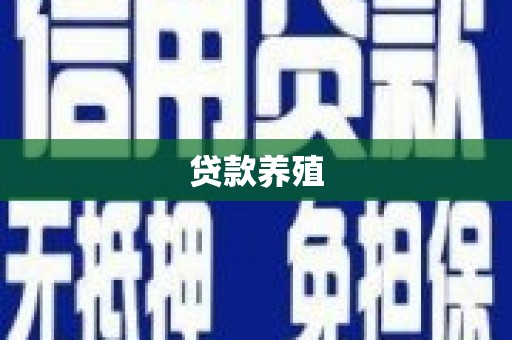 惠安贷款养殖