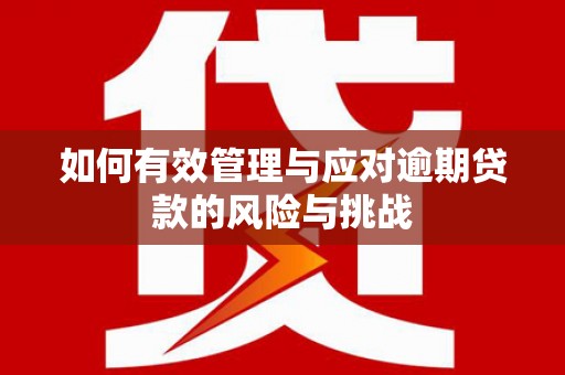 惠安如何有效管理与应对逾期贷款的风险与挑战