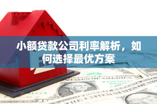 惠安小额贷款公司利率解析，如何选择最优方案