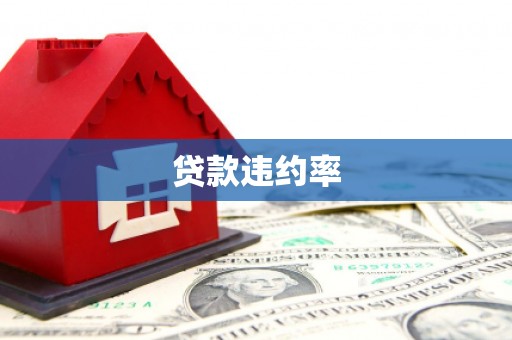 惠安贷款违约率