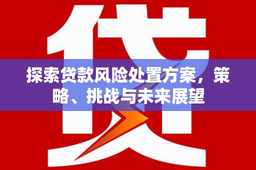 惠安探索贷款风险处置方案，策略、挑战与未来展望