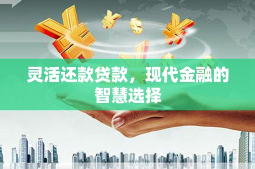 惠安灵活还款贷款，现代金融的智慧选择