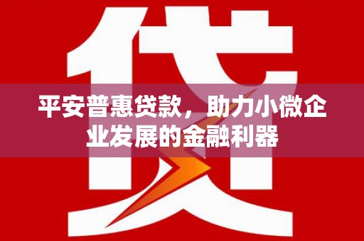 惠安平安普惠贷款，助力小微企业发展的金融利器