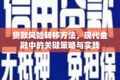 惠安贷款风险转移方法，现代金融中的关键策略与实践