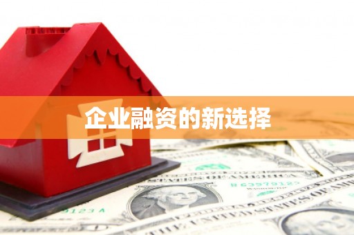 惠安企业融资的新选择