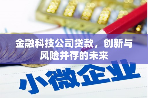 惠安金融科技公司贷款，创新与风险并存的未来