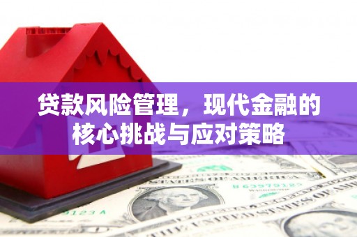 惠安贷款风险管理，现代金融的核心挑战与应对策略