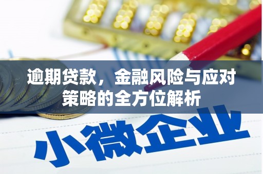 惠安逾期贷款，金融风险与应对策略的全方位解析