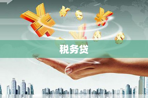 惠安税务贷
