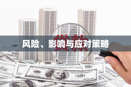惠安风险、影响与应对策略