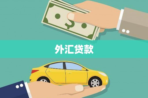 惠安外汇贷款