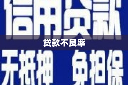 惠安贷款不良率