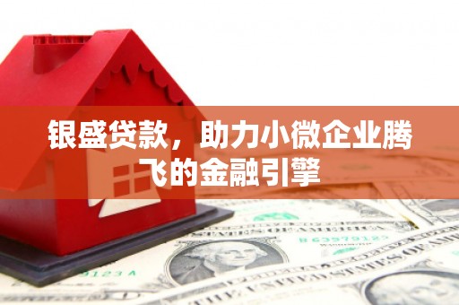 惠安银盛贷款，助力小微企业腾飞的金融引擎