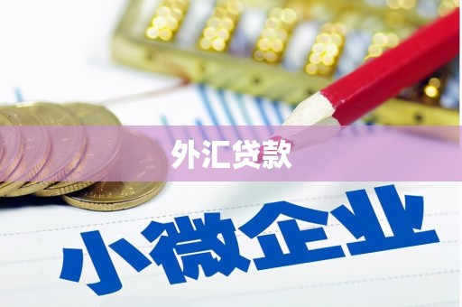 惠安外汇贷款
