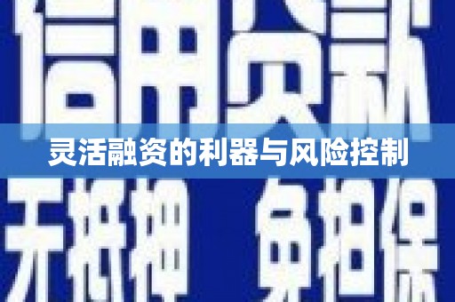 惠安灵活融资的利器与风险控制