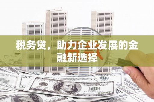 惠安税务贷，助力企业发展的金融新选择