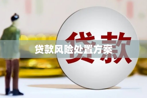 惠安贷款风险处置方案