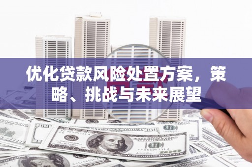 惠安优化贷款风险处置方案，策略、挑战与未来展望