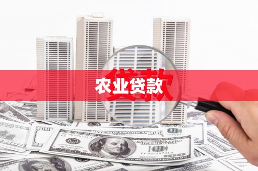惠安农业贷款