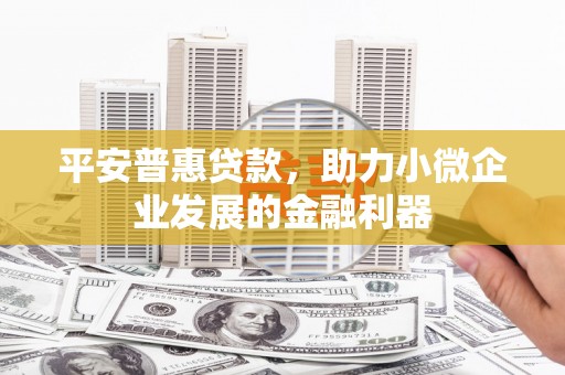 惠安平安普惠贷款，助力小微企业发展的金融利器