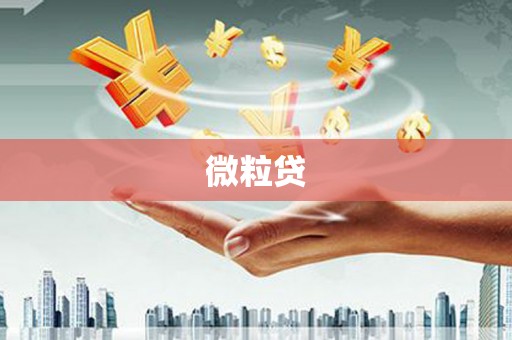 惠安微粒贷