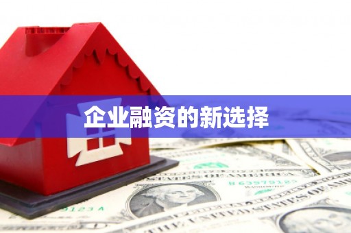 惠安企业融资的新选择