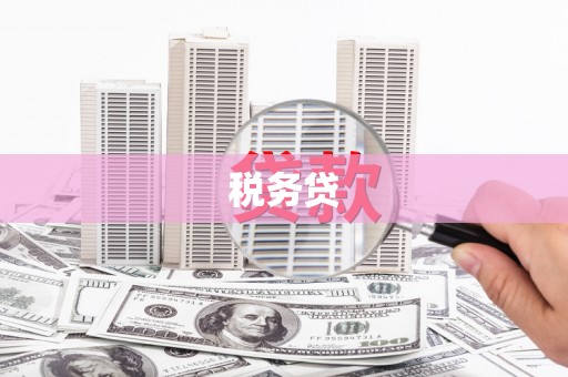惠安税务贷