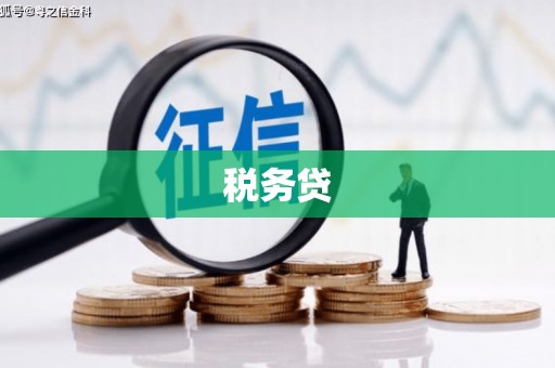 惠安税务贷