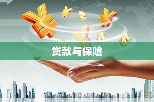 惠安贷款与保险