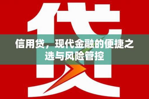惠安信用贷，现代金融的便捷之选与风险管控
