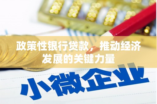 惠安政策性银行贷款，推动经济发展的关键力量