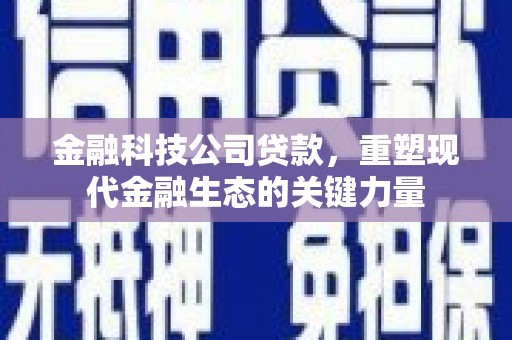 惠安金融科技公司贷款，重塑现代金融生态的关键力量