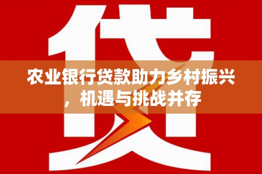惠安农业银行贷款助力乡村振兴，机遇与挑战并存