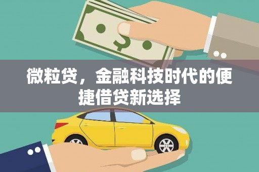 惠安微粒贷，金融科技时代的便捷借贷新选择