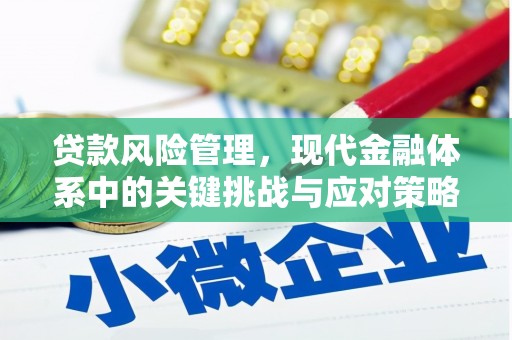惠安贷款风险管理，现代金融体系中的关键挑战与应对策略
