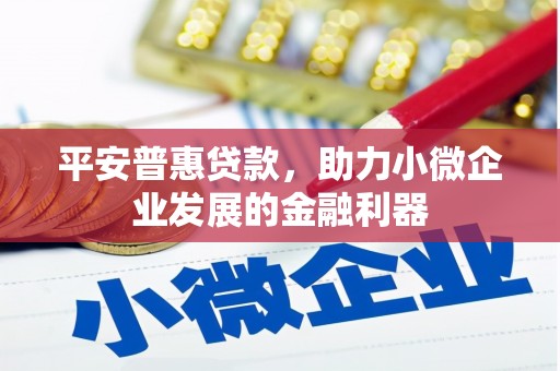 惠安平安普惠贷款，助力小微企业发展的金融利器