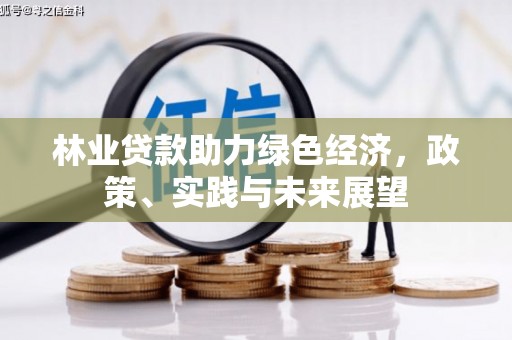 惠安林业贷款助力绿色经济，政策、实践与未来展望